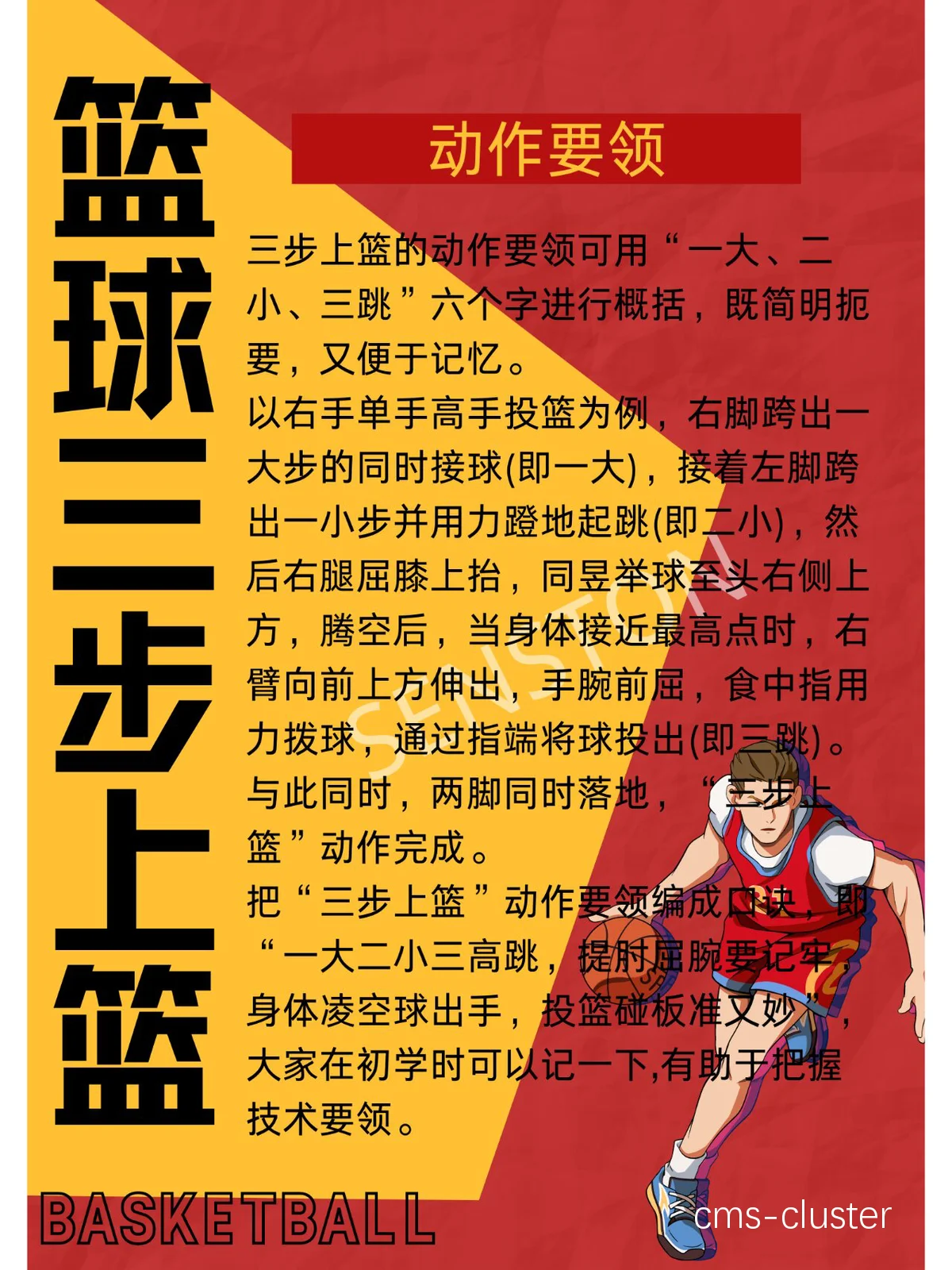如何通过专业装备为篮球训练提供更好的支持？